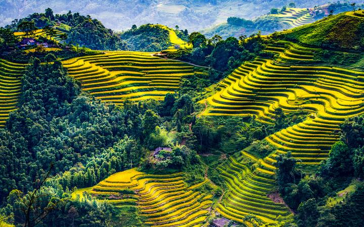 Cách Khởi Nghiệp Kiếm Tiền Bán Thời Gian Dành Cho Người Mới