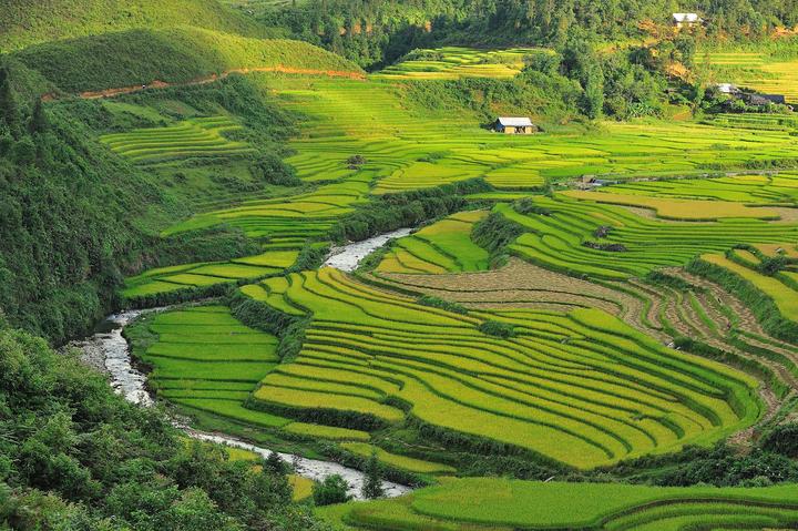 Hotspot Matrix: Chiến binh bí mật của chủ cửa hàng nhỏ