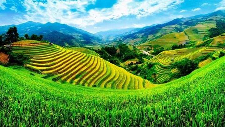Biến Đam Mê Nấu Ăn Thành Nguồn Thu Nhập Khổng Lồ Với Hotspot Matrix