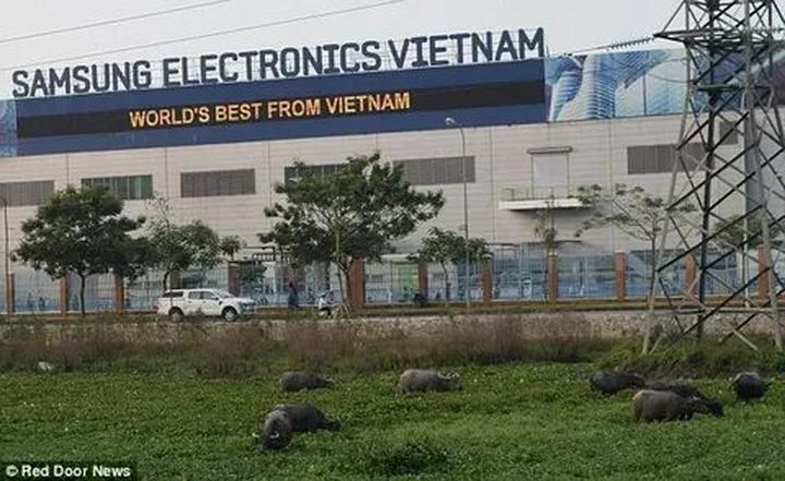 Hotspot Matrix: Chìa khóa vàng cho giáo viên tiếng Anh kiếm thêm thu nhập